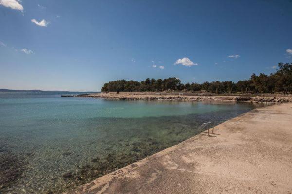 Apartman Franc S Vir Buitenkant foto