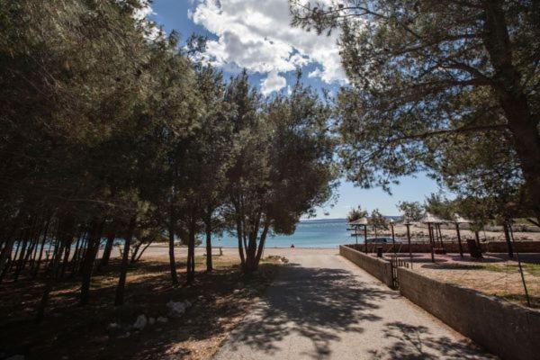 Apartman Franc S Vir Buitenkant foto